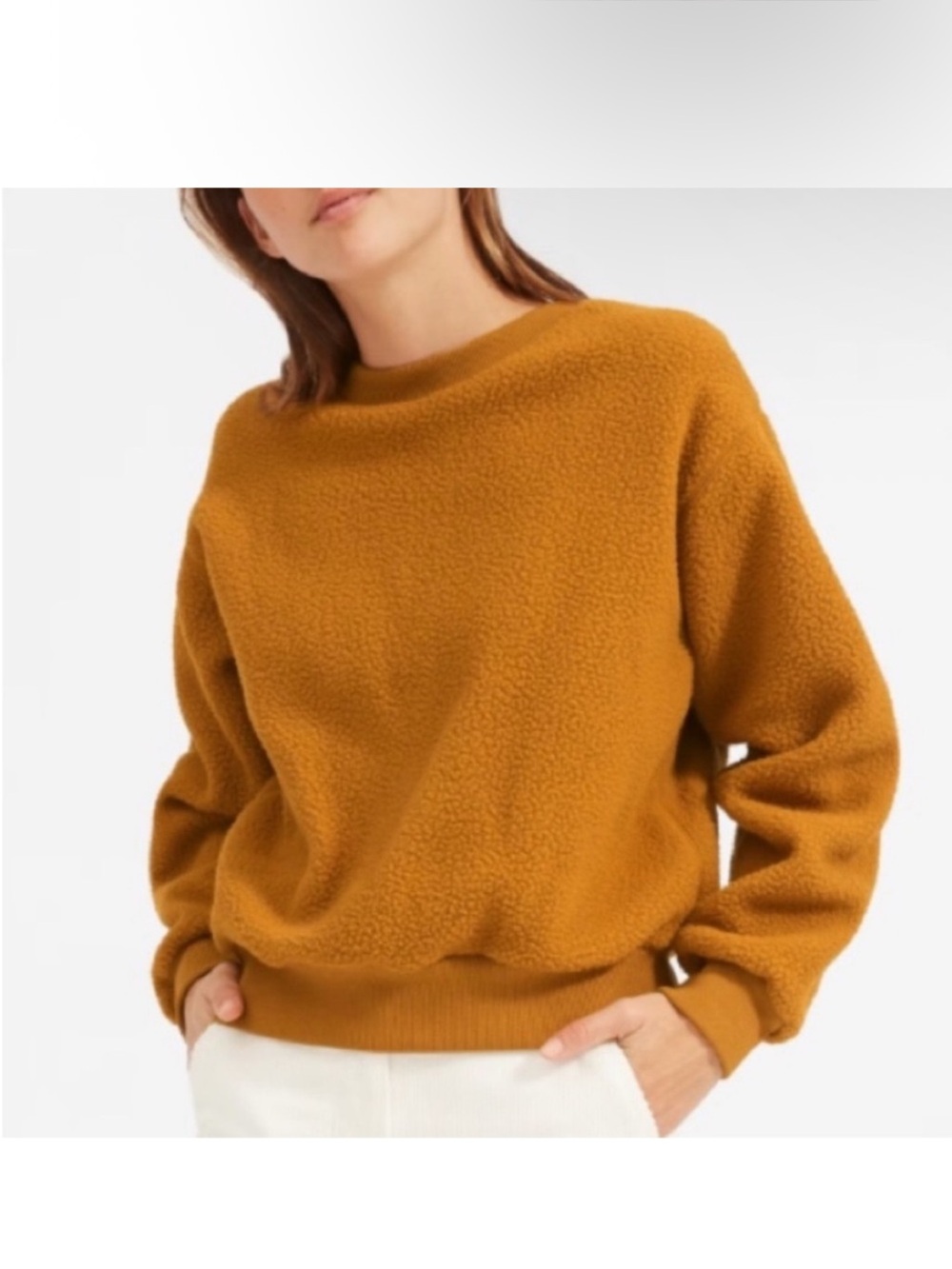 Everlane ReNew Fleece Crew